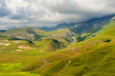 güzel tam renkli bahar çiçekleri Umbria, İtalya