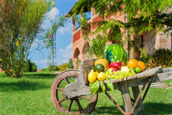 Juicy and colorful fresh fruit arranged on a wooden wheelbarrow — Stock Photo, Image