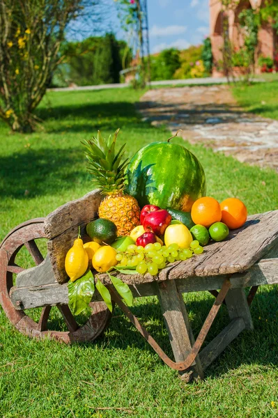Соковиті і барвисті свіжі фрукти, розташовані на дерев'яній інвалідній колісниці — стокове фото