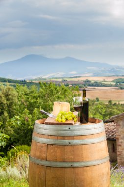 kırmızı şarap ve üzüm ile pecorino peyniri Toskana, İtalya