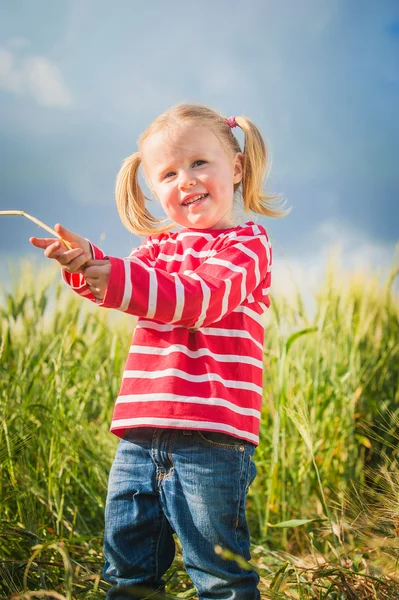Little girl plays with between green grains — Stock Photo, Image