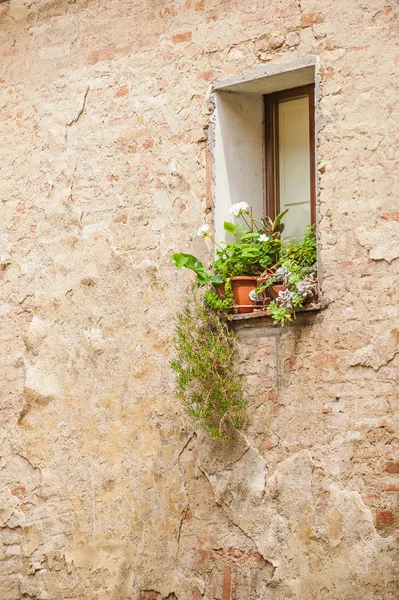 Krásné květiny v okně italské Toskánsko — Stock fotografie