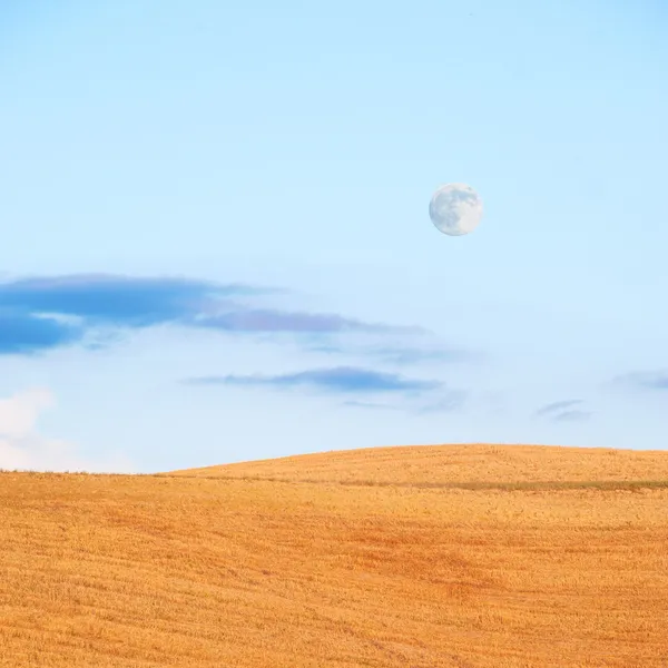 Fullmånen i den blå himlen och det gyllene fältet — Stockfoto