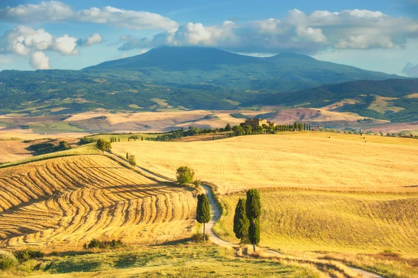 Klasický pohled na toskánské oblasti kolem pienza, Itálie — Stock fotografie