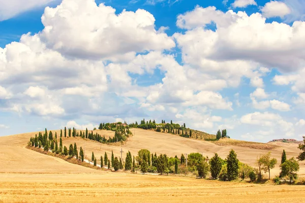 Típico camino toscano rodeado de cipreses y campos en su — Foto de Stock