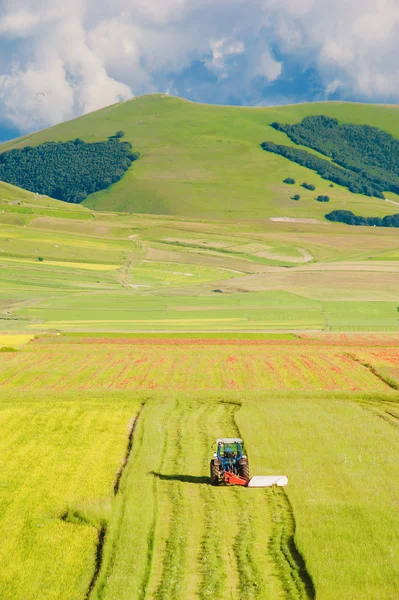 Tractor mowing green field — Stock Photo, Image