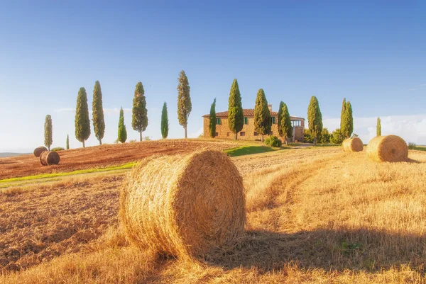 Spektakularne widoki na krajobraz Toskanii, pienza, Włochy — Zdjęcie stockowe
