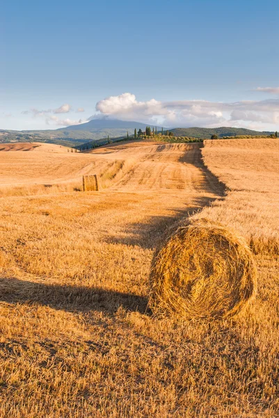 Nádherný výhled na toskánské krajiny, pienza, Itálie — Stock fotografie