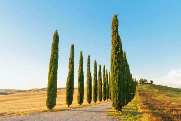 Spettacolare vista sul paesaggio toscano, Pienza, Italia — Foto Stock