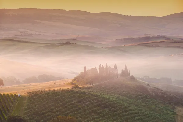 Beautiful sunrise over the Val d'Orcia in Tuscany, natural park — Stock Photo, Image