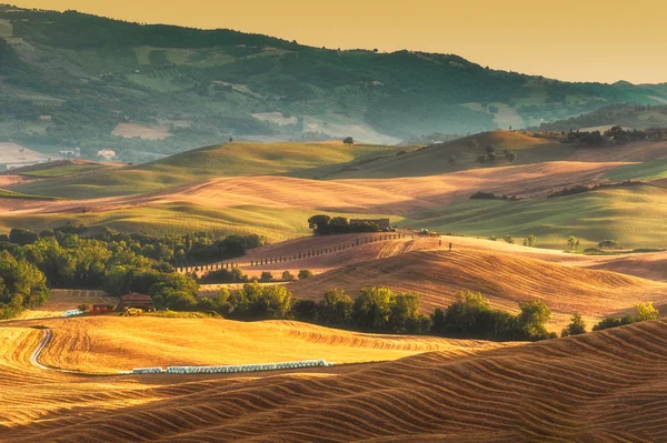 sıcak ışık Val d'orcia Toskana boyama
