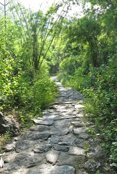 Caminho no jardim — Fotografia de Stock