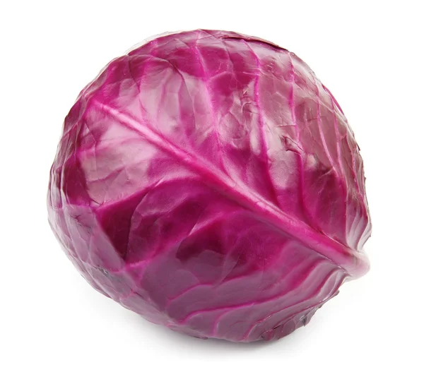 Head of red cabbage — Stock Photo, Image