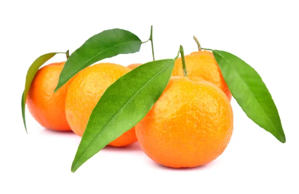 Tangerinas com folhas — Fotografia de Stock