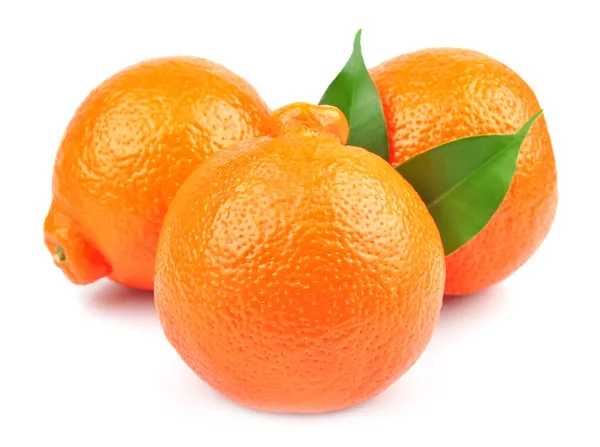 Oranges douces fruits — Photo