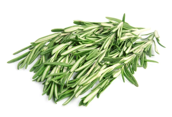 Sweet rosemary — Stock Photo, Image