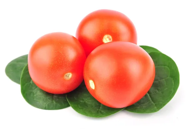 Cherry tomato with spinach — Stock Photo, Image