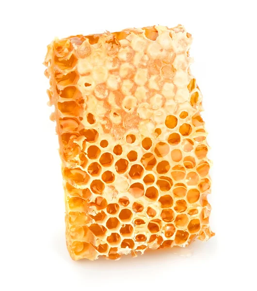 Honey honeycombs — Stock Photo, Image