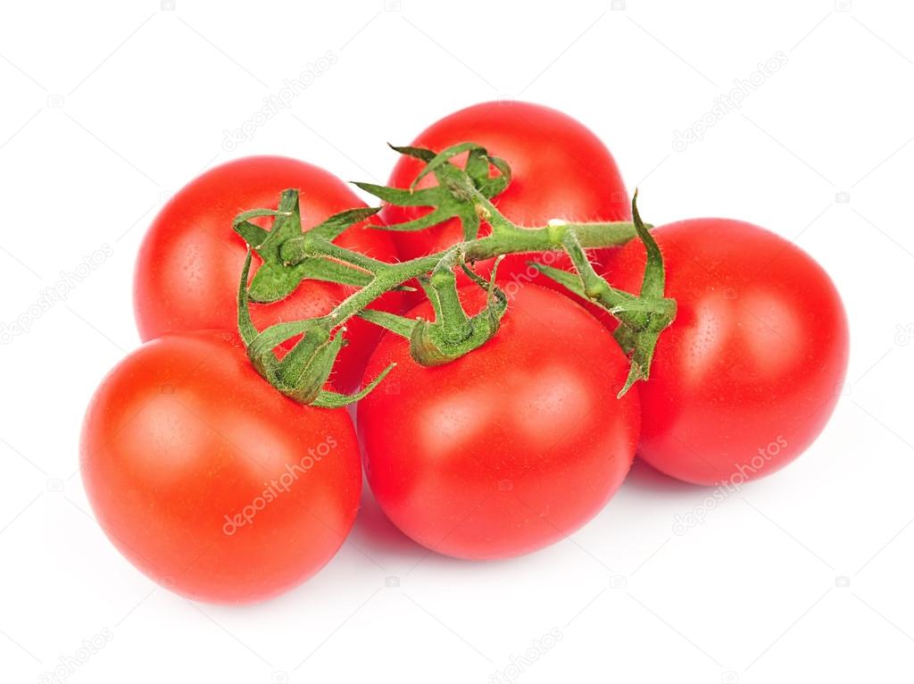 fresh tomatoes isolated