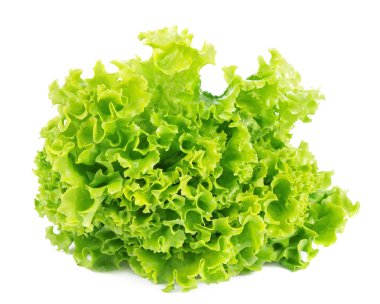 Lettuce isolated