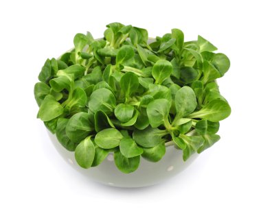 valerianella salatası