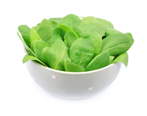 Fresh spinach — Stock Photo, Image