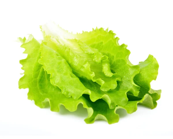 Salat isoliert — Stockfoto