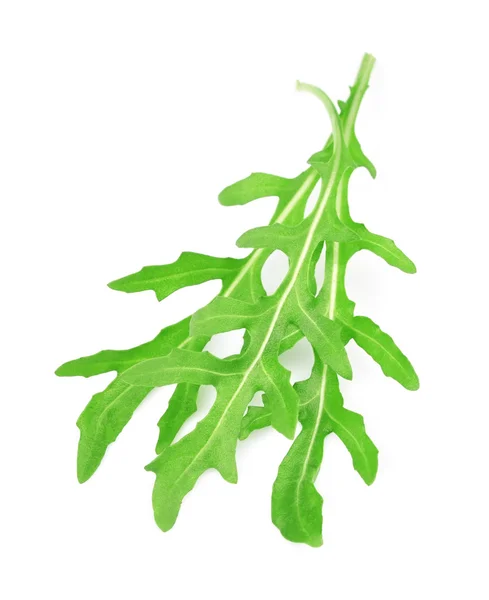 Foglie di rucola fresca — Foto Stock