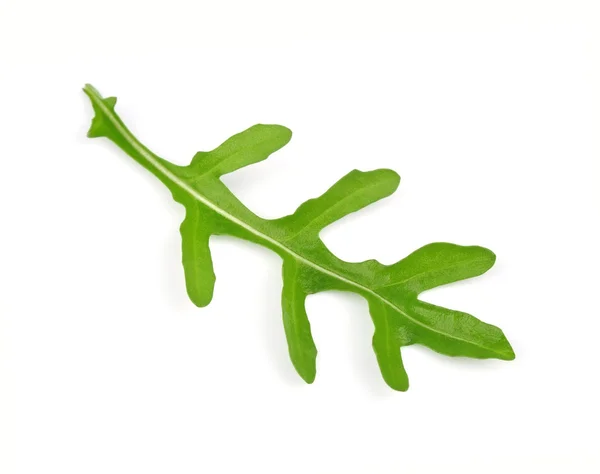 Fresh rucola leaves — Stock Photo, Image