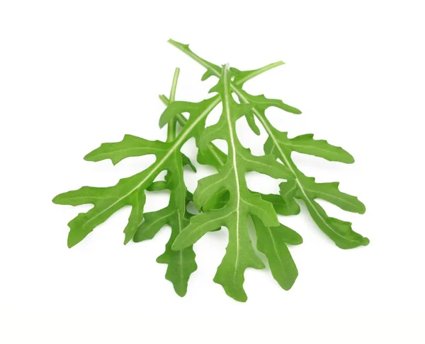Fresh rucola leaves — Stock Photo, Image