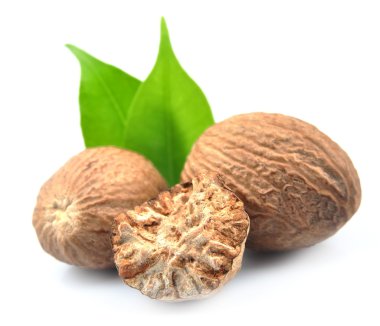 Küçük Hindistan cevizi