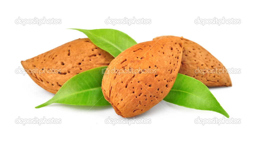 Almond nuts with leaves.