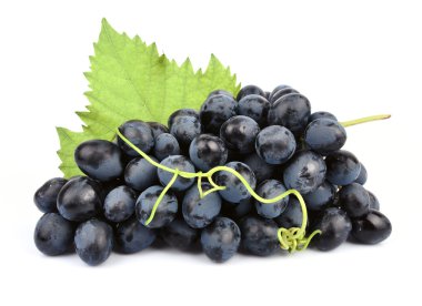 Ripe dark grapes with leaves clipart