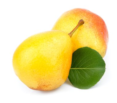 Armut yaprak yeşil ile