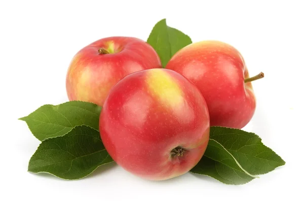 Pommes fraîches juteuses — Photo