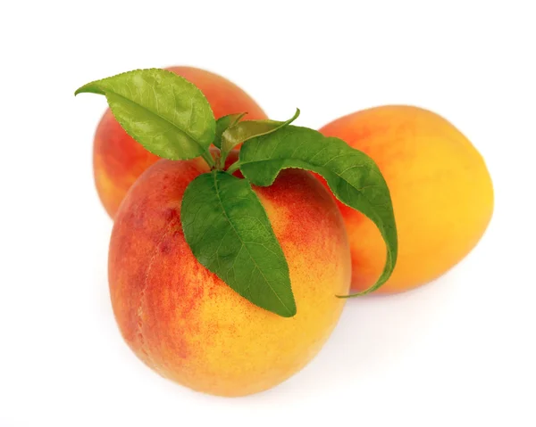 Färska persikor med blad — Stockfoto