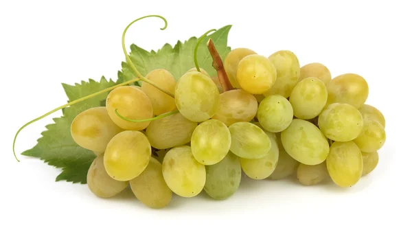 Juicy grapes — Stock Photo, Image