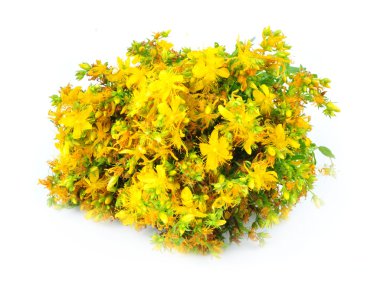 bitkisel ilaç hypericum