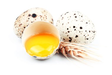 buğday koniler ile bir Bıldırcın yumurta