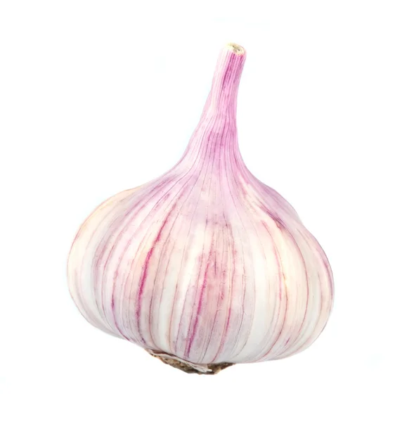 Knoblauch — Stockfoto