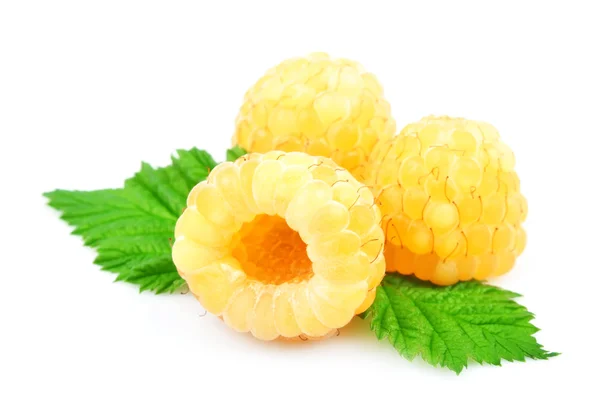 Yellow fresh raspberry with a leaf — Stock Photo, Image