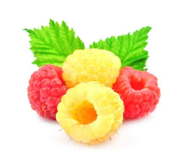 Gelbe und rote frische Himbeeren lizenzfreie Stockfotos