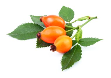 Rose HIPS