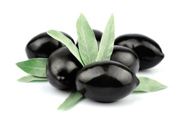 yaprakları ile Siyah Zeytin