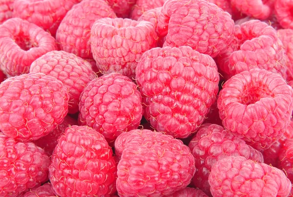 Raspberry — Stock Photo, Image