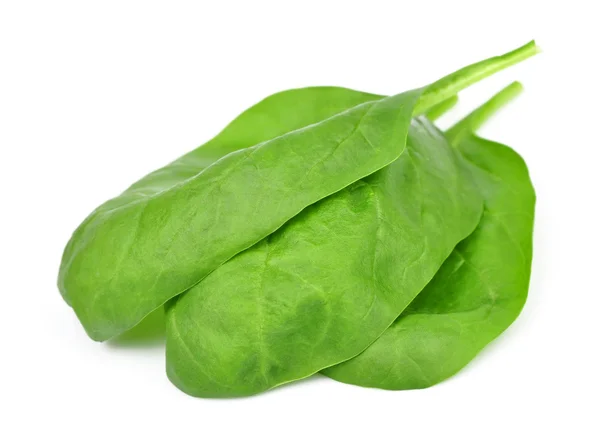 Salatspinat — Stockfoto