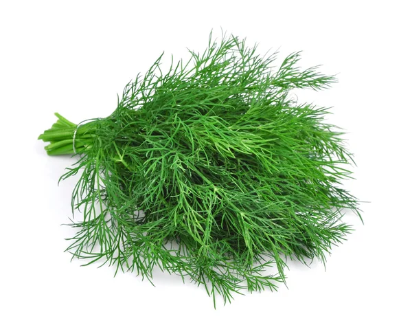 Fennel — Stock Photo, Image