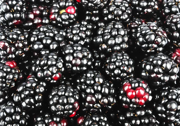 Juicy blackberry — Stock Photo, Image