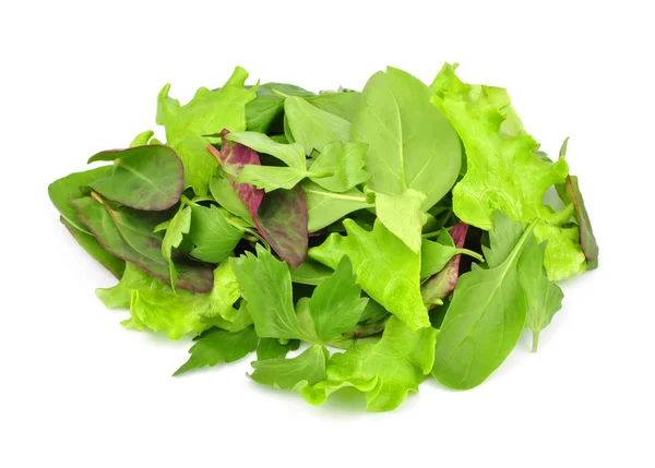 karışık taze salata yaprakları