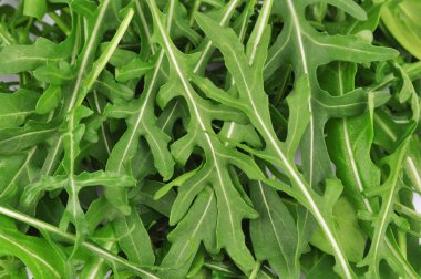 taze rucola yaprakları